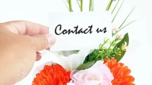 🌿 Contact Us