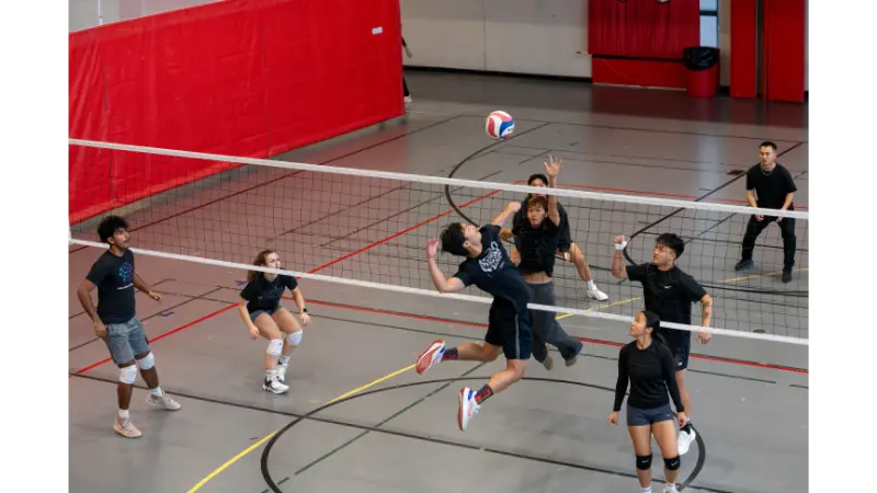 how to cancel game mopfell78