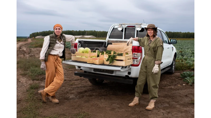 Tips for Building a Functional and Stylish Ute Setup